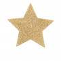 Украшение для груди Flash Star от Bijoux Украшение для груди Flash Star от Bijoux